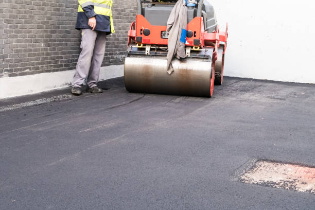 Best Driveway Overlay Services  in Avis, PA